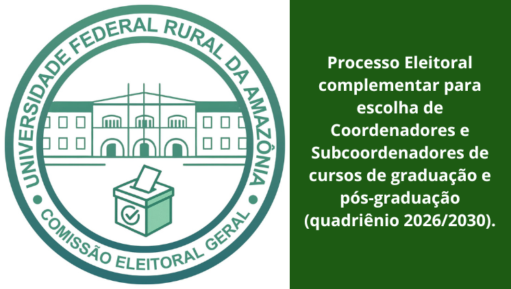 Processo Eleitoral complementar